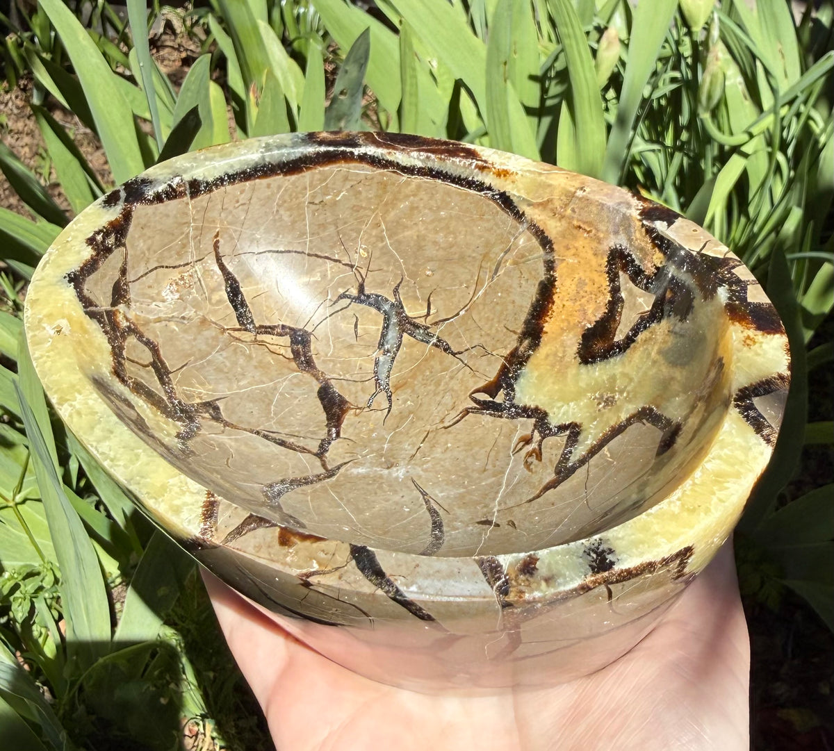 Septarian Bowl