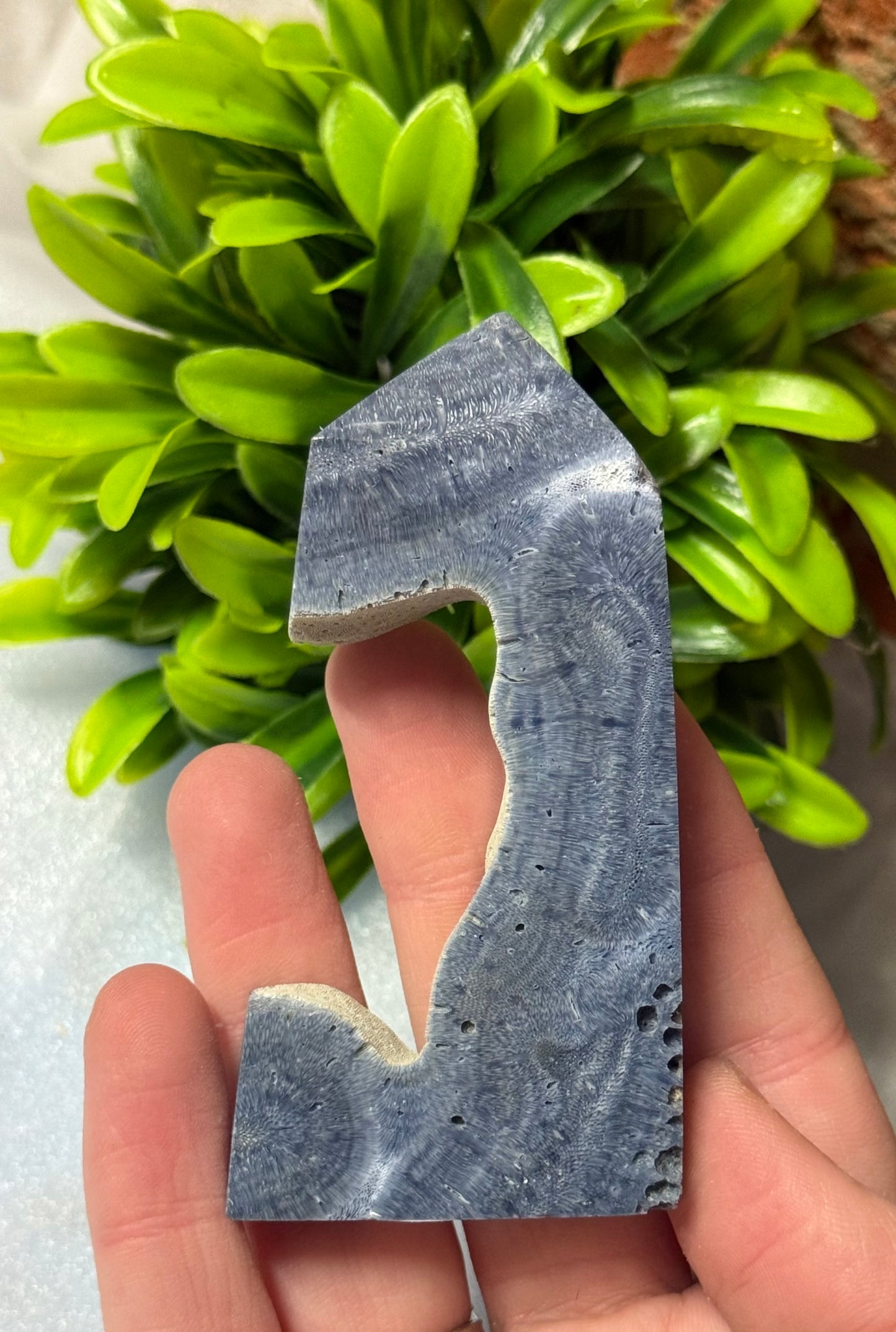 Coral Jasper Towers