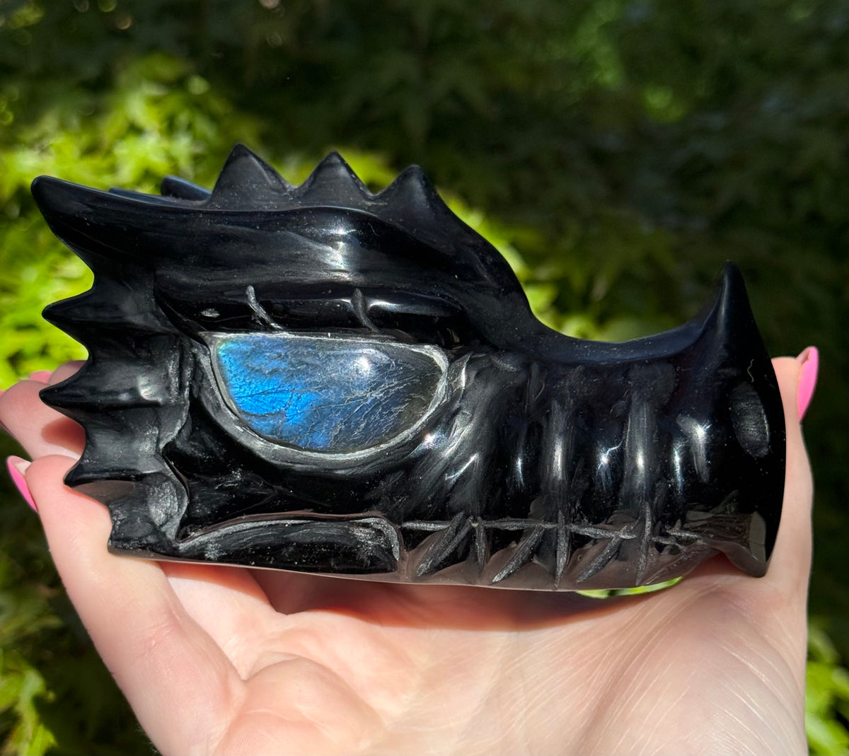 Assorted Dragon Heads