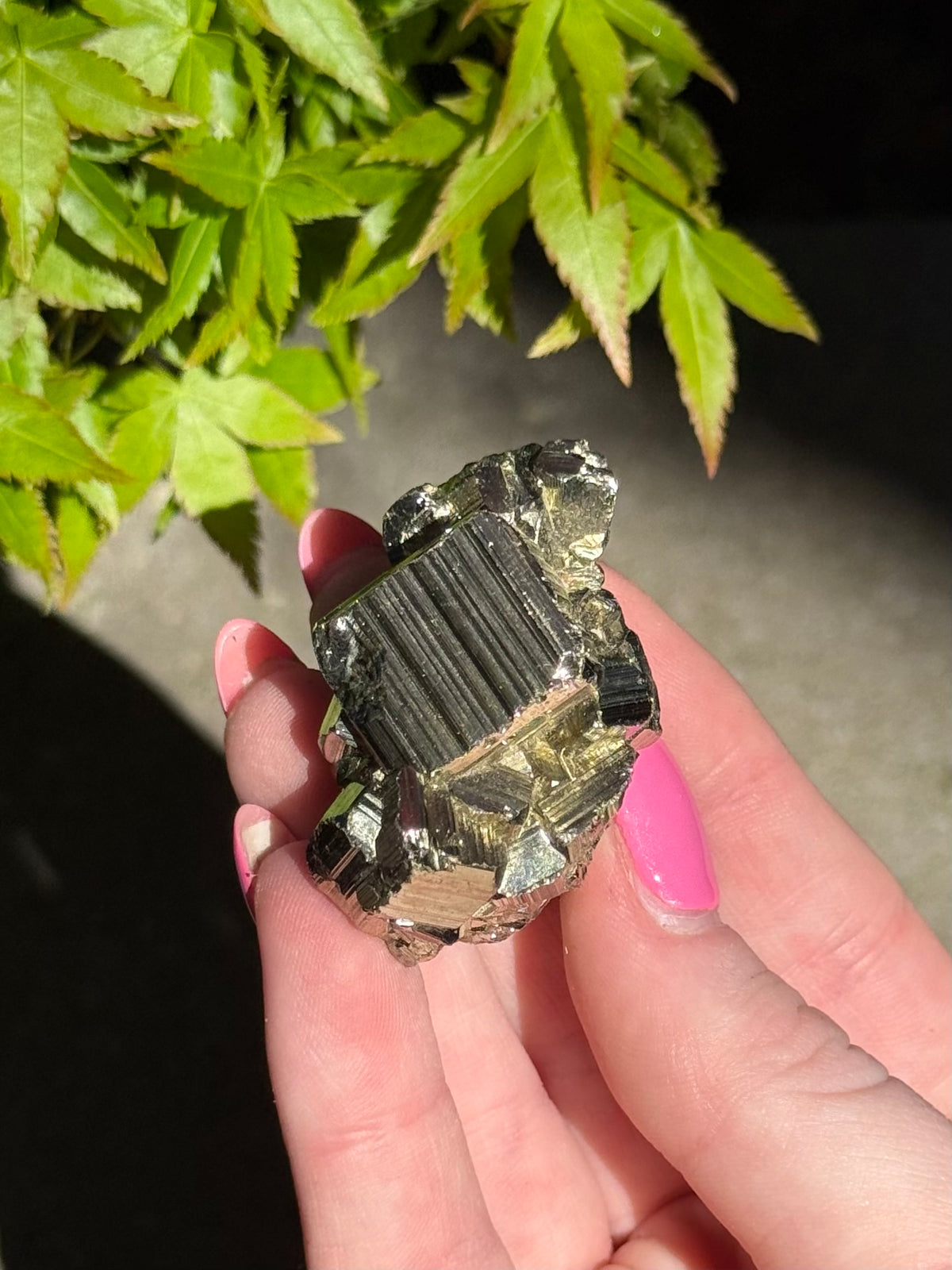 Pyrite Cube Cluster