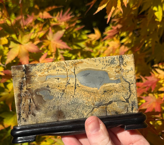 Picture Jasper Slab on Stand #1
