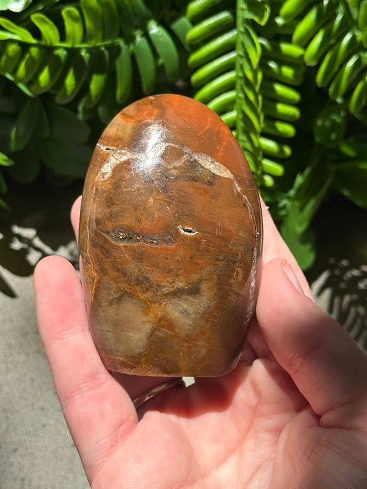 Petrified Wood Standing Freeform’s