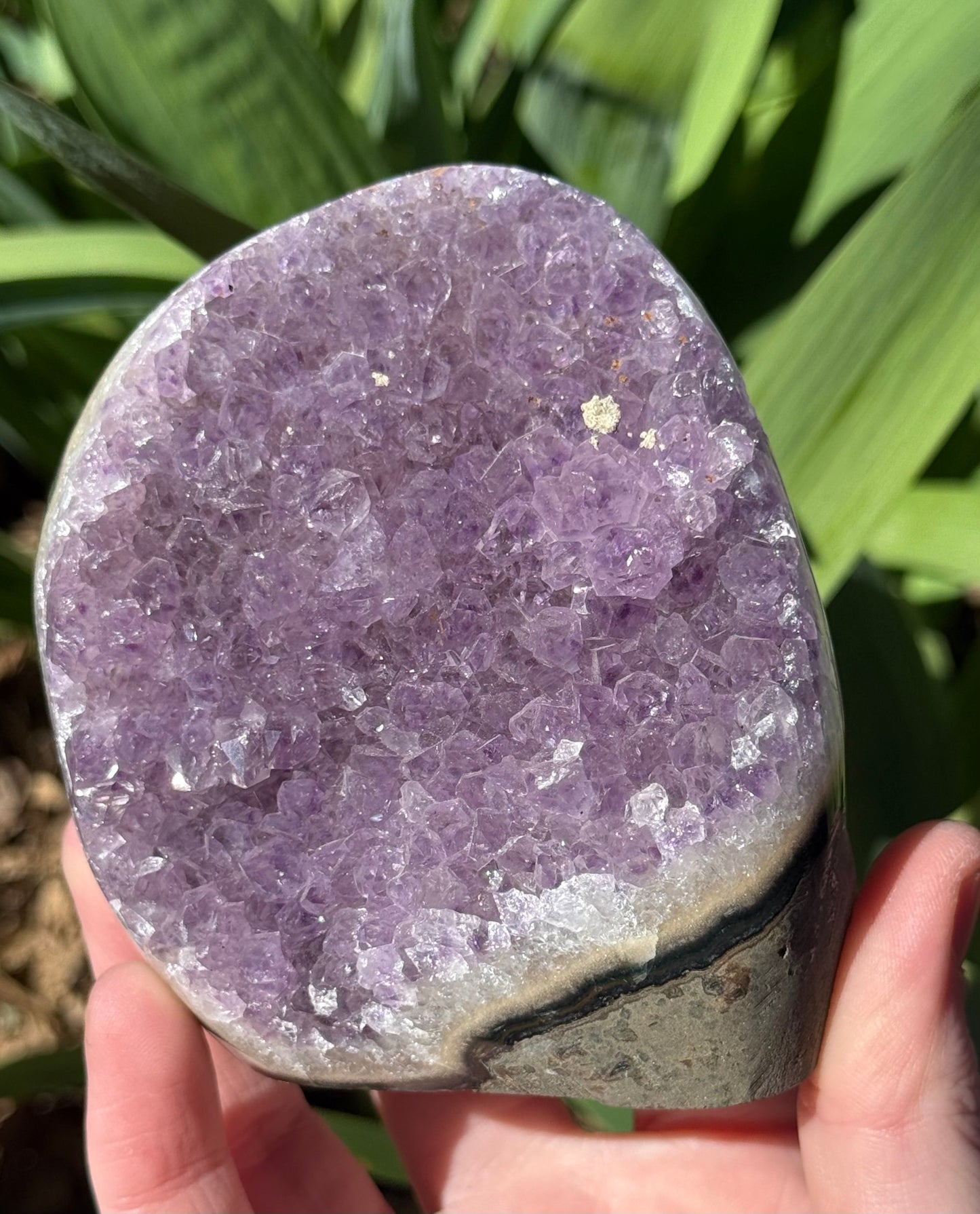 Amethyst Cut Base