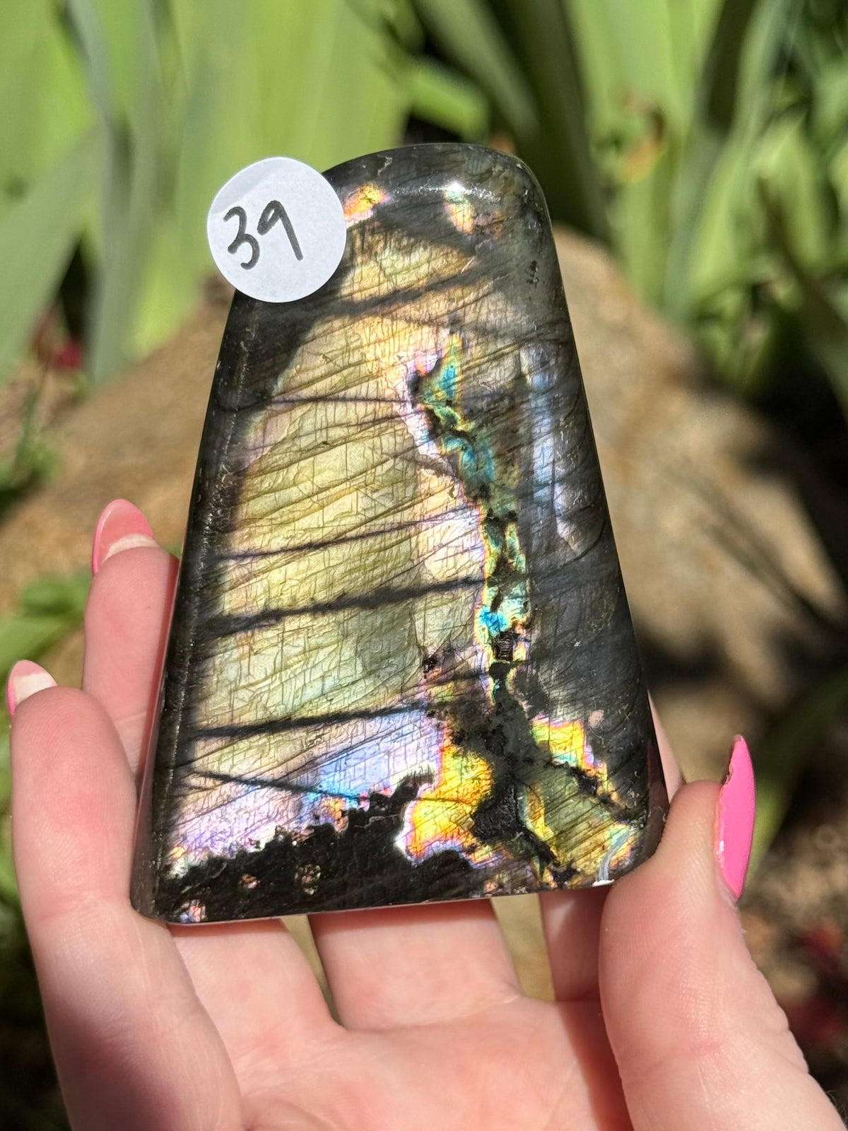 Labradorite Freeforms