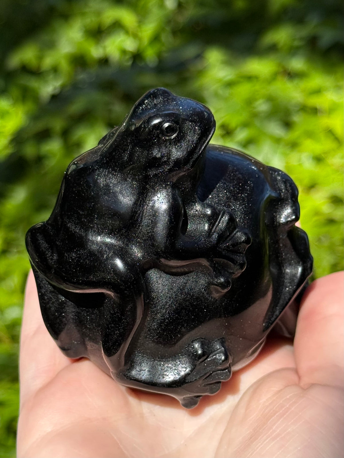 Frog on Skull