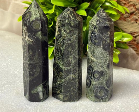 Kambaba Jasper Points