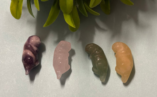 3cm Otter