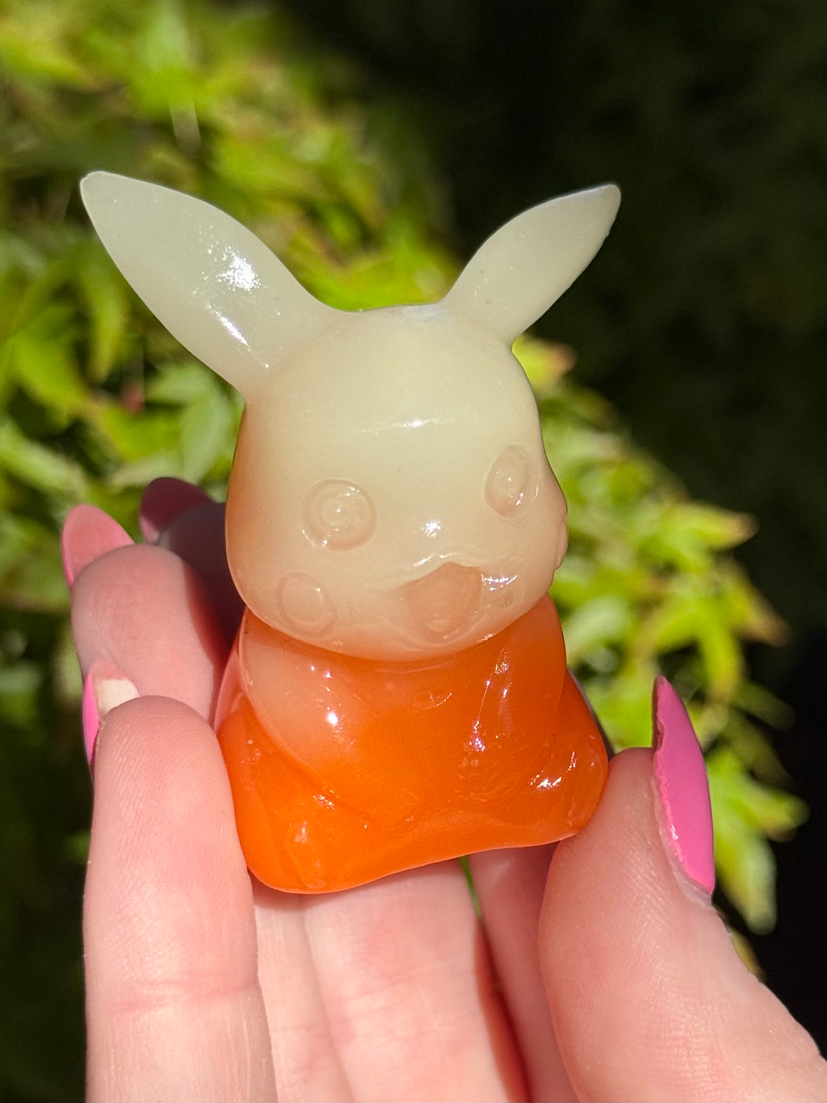 Luminous Pokemon