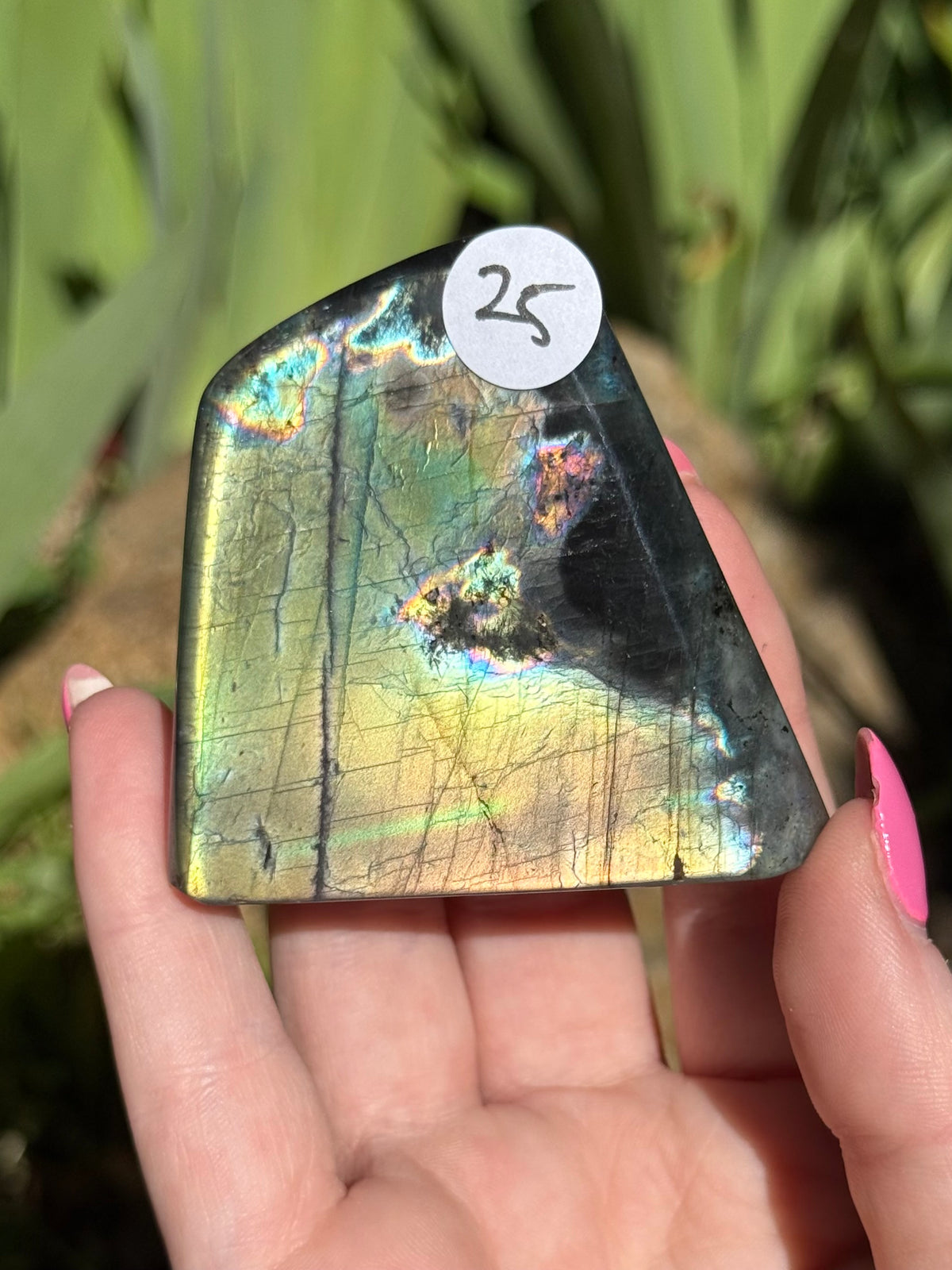 Labradorite Freeforms