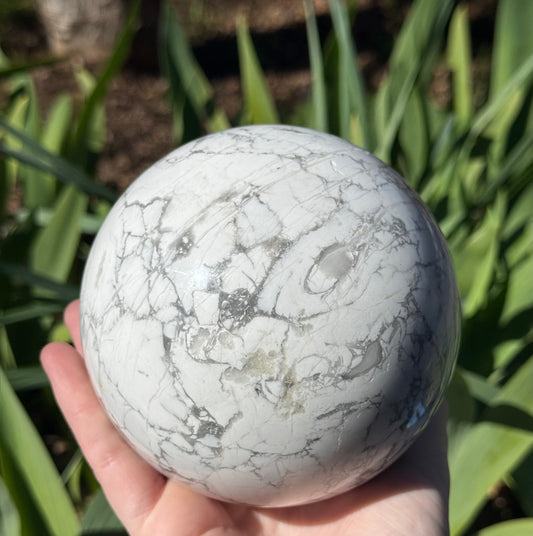 XL Howlite Sphere