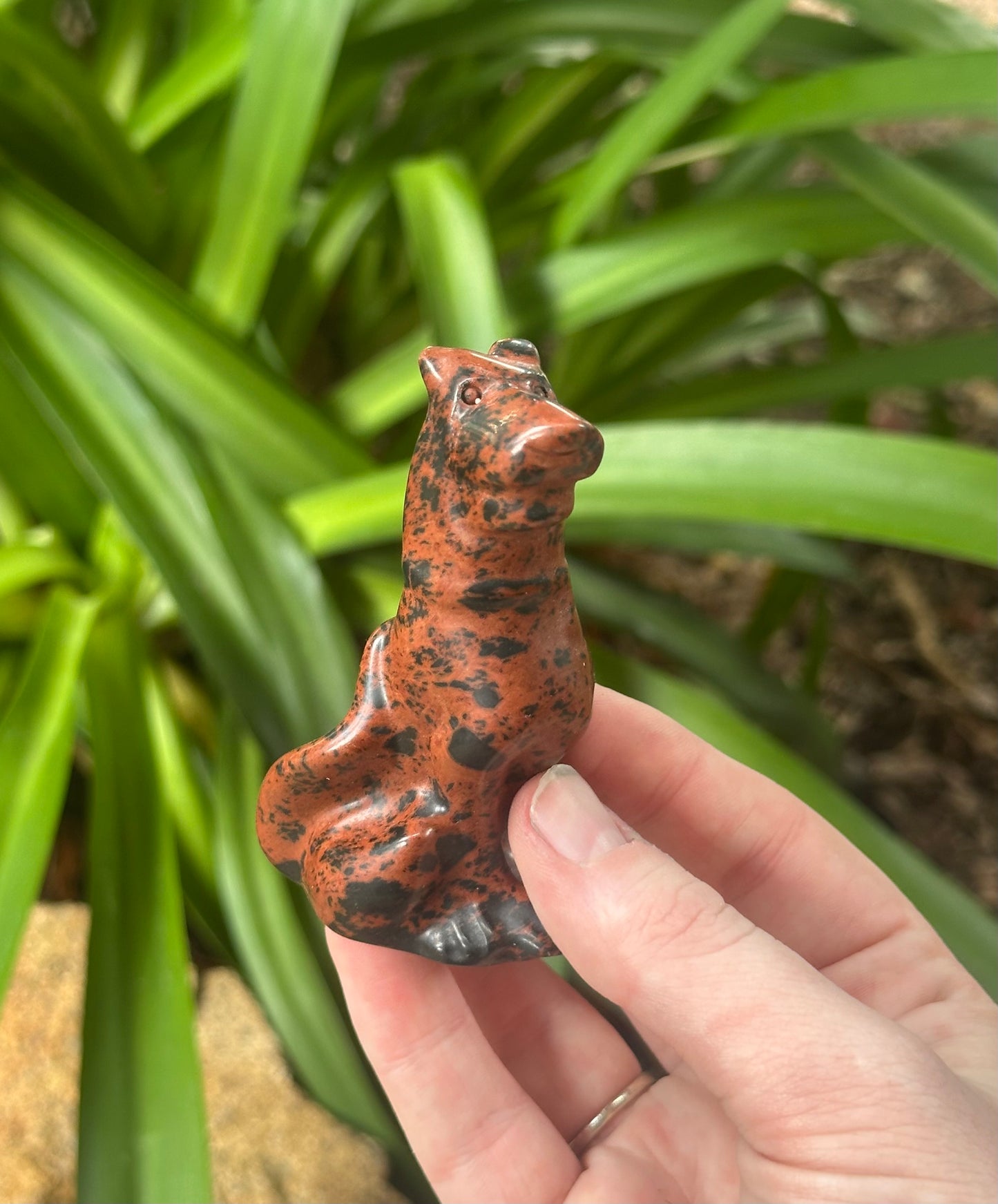 Mahogany Obsidian Scooby-Doo