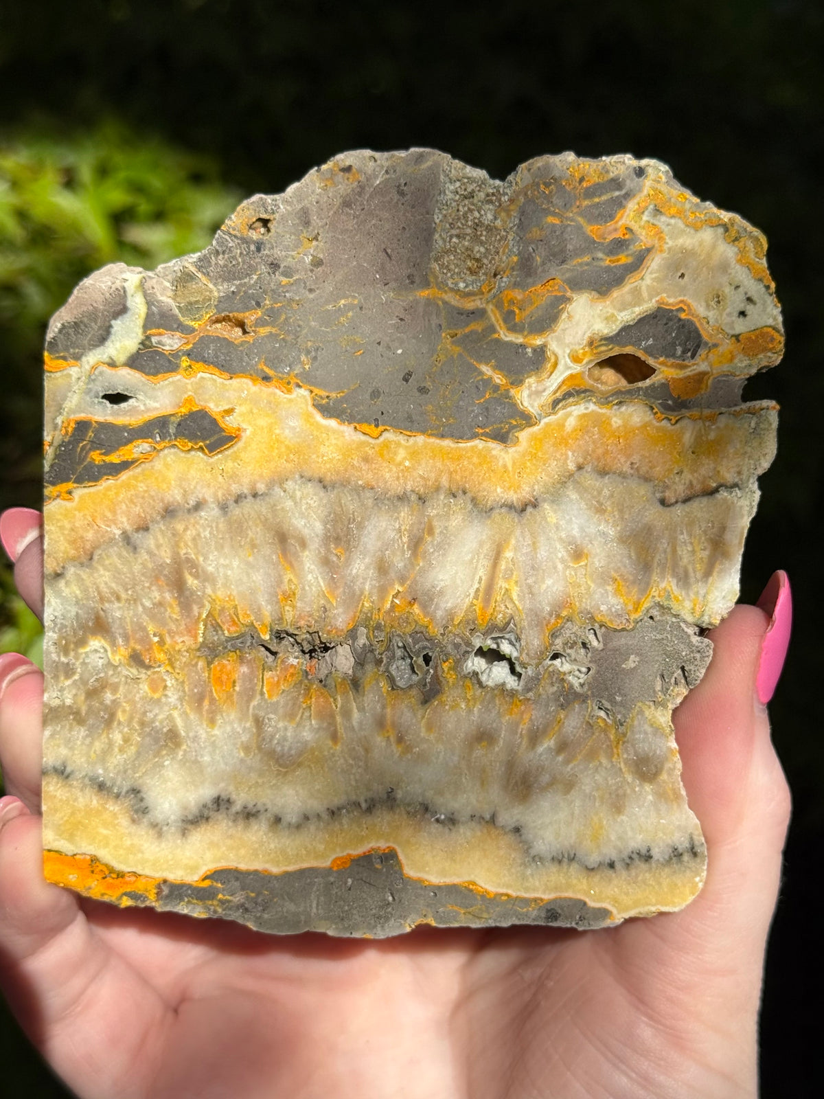Bumblebee Jasper Slabs