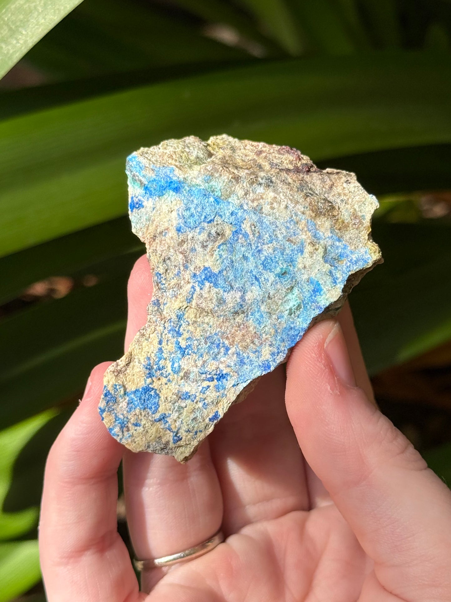 Kinoite Specimen