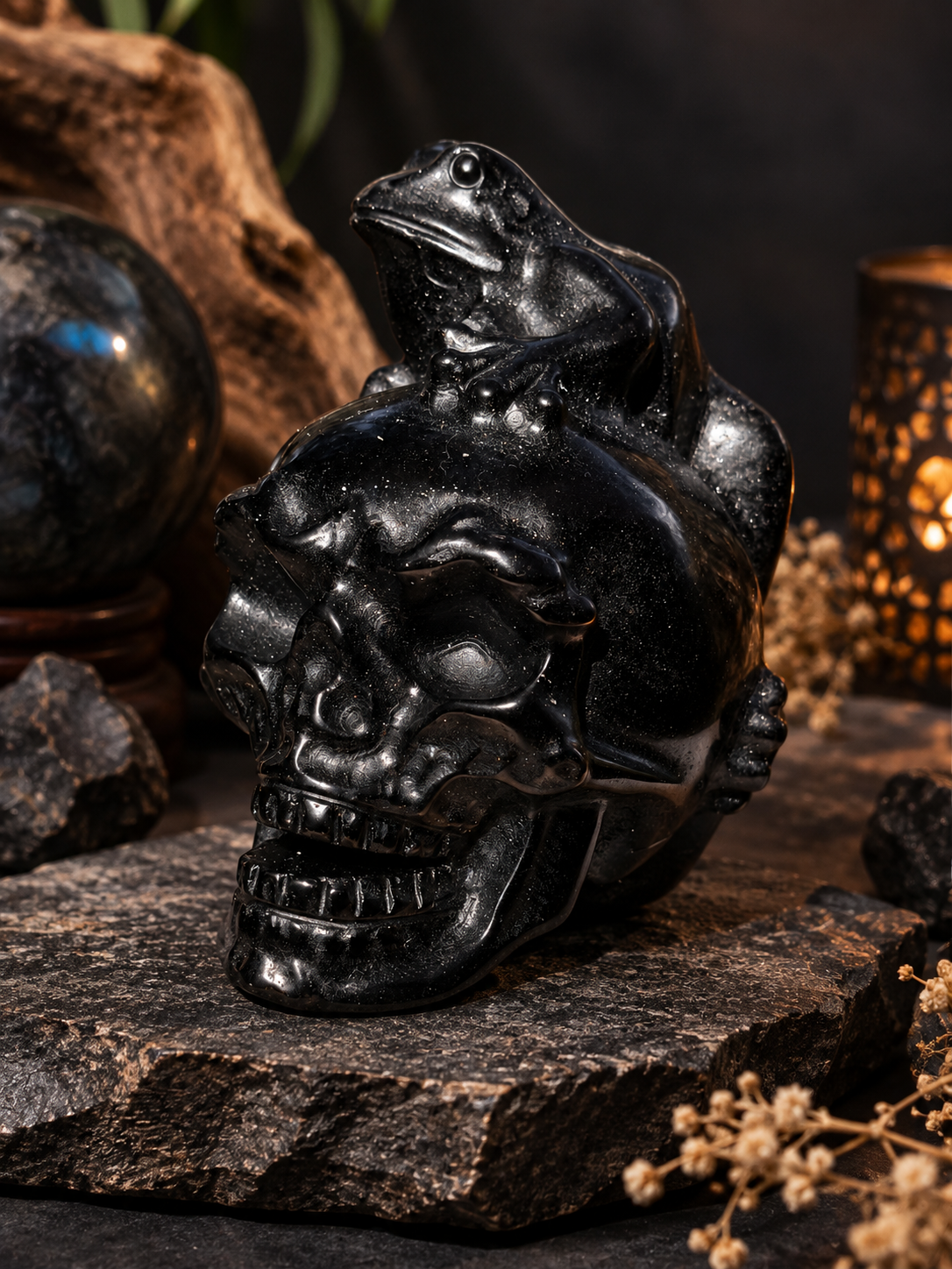 Frog on Skull