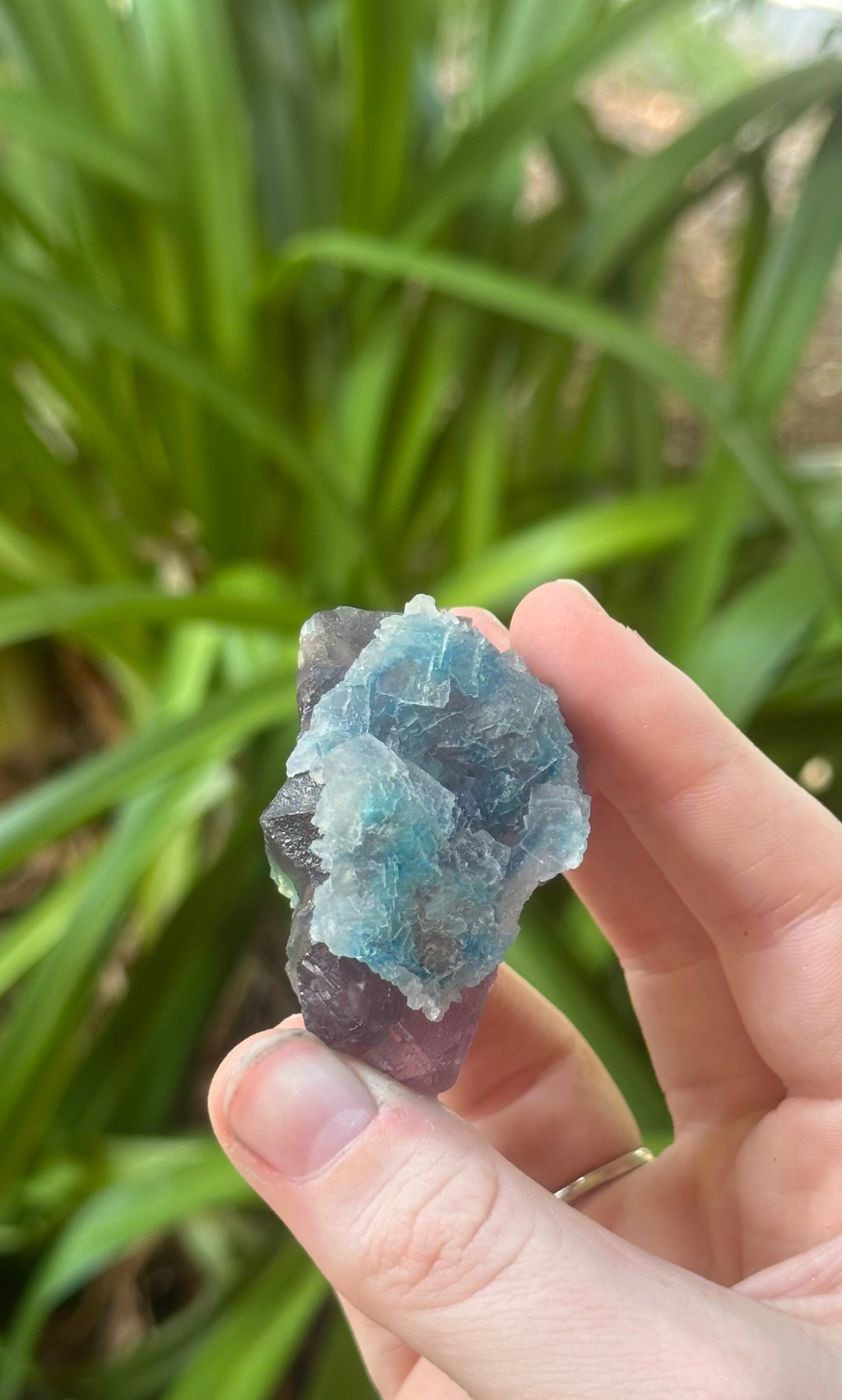 Gibbsite on Fluorite Specimen #3