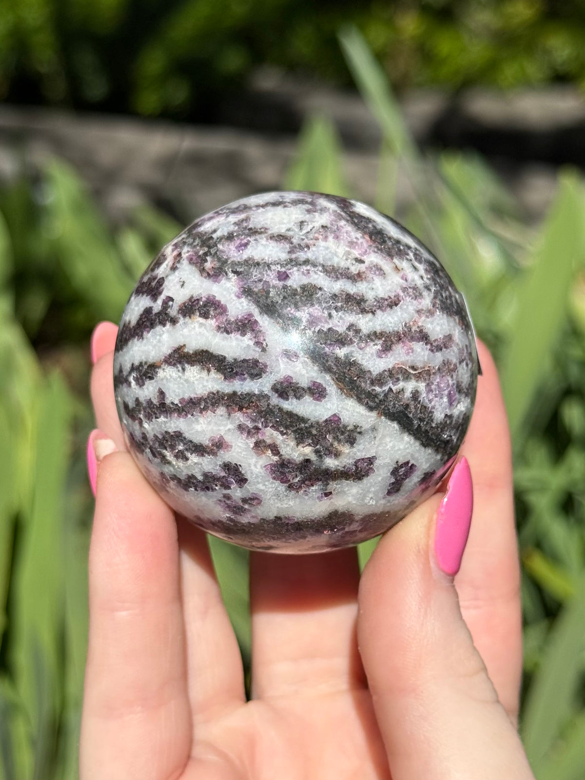 Purple Zebra Jasper Spheres