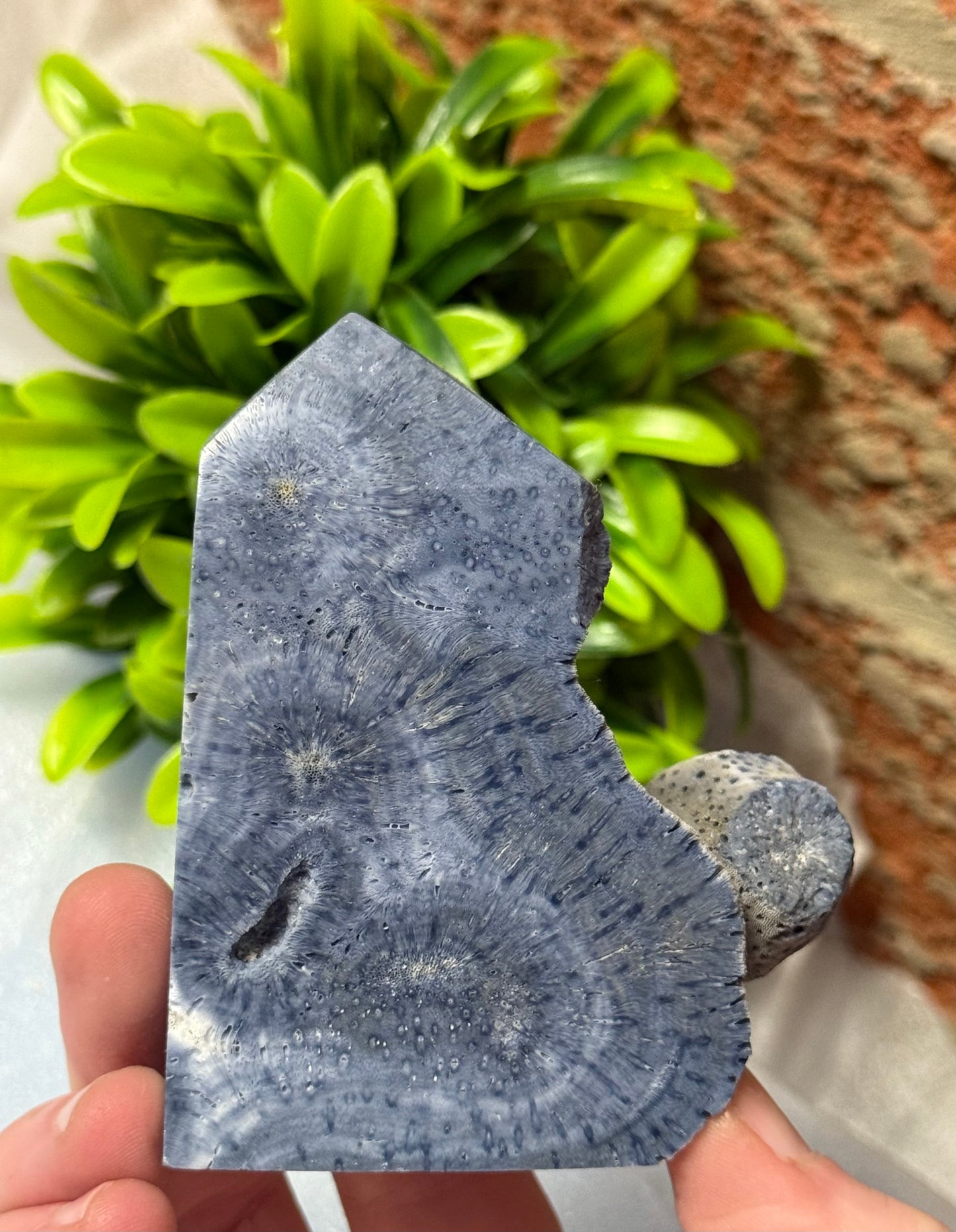 Coral Jasper Towers