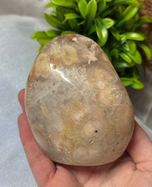 Flower Agate with Carnelian Freeform