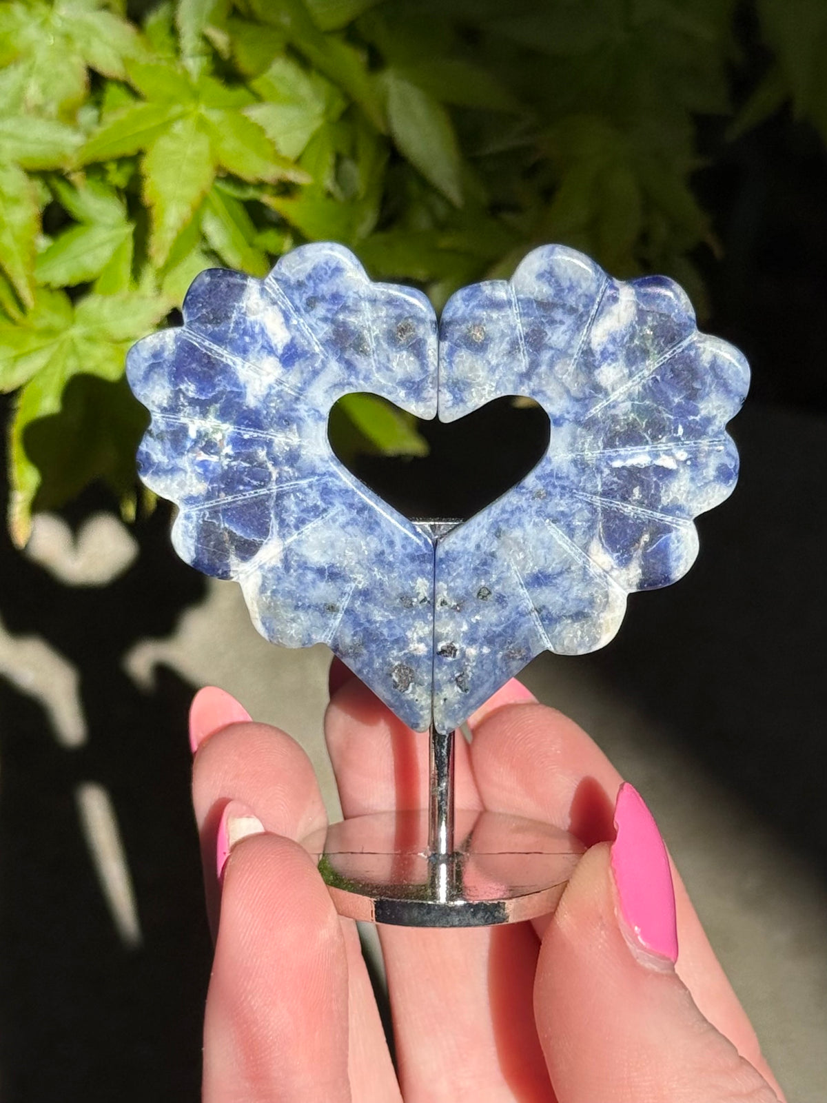 Heart wings