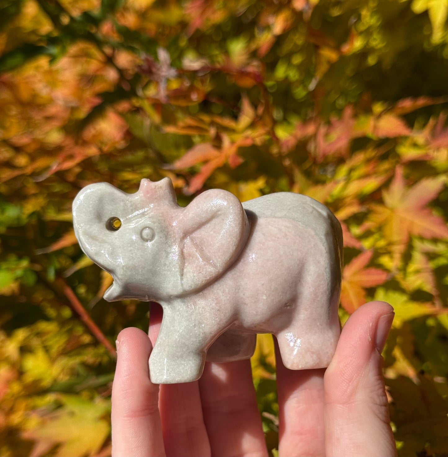 Elephants