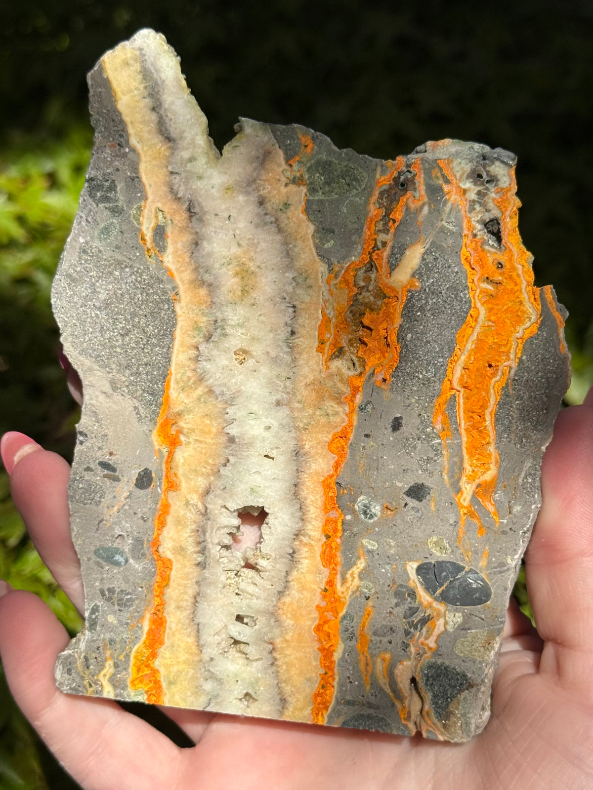 Bumblebee Jasper Slabs