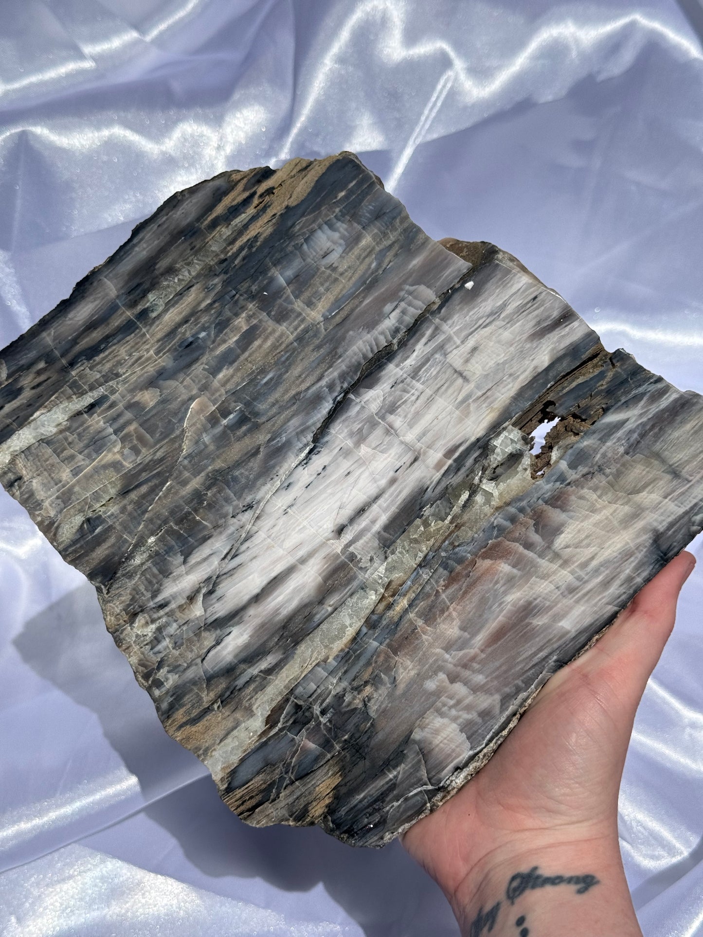 Petrified Wood XL Slab
