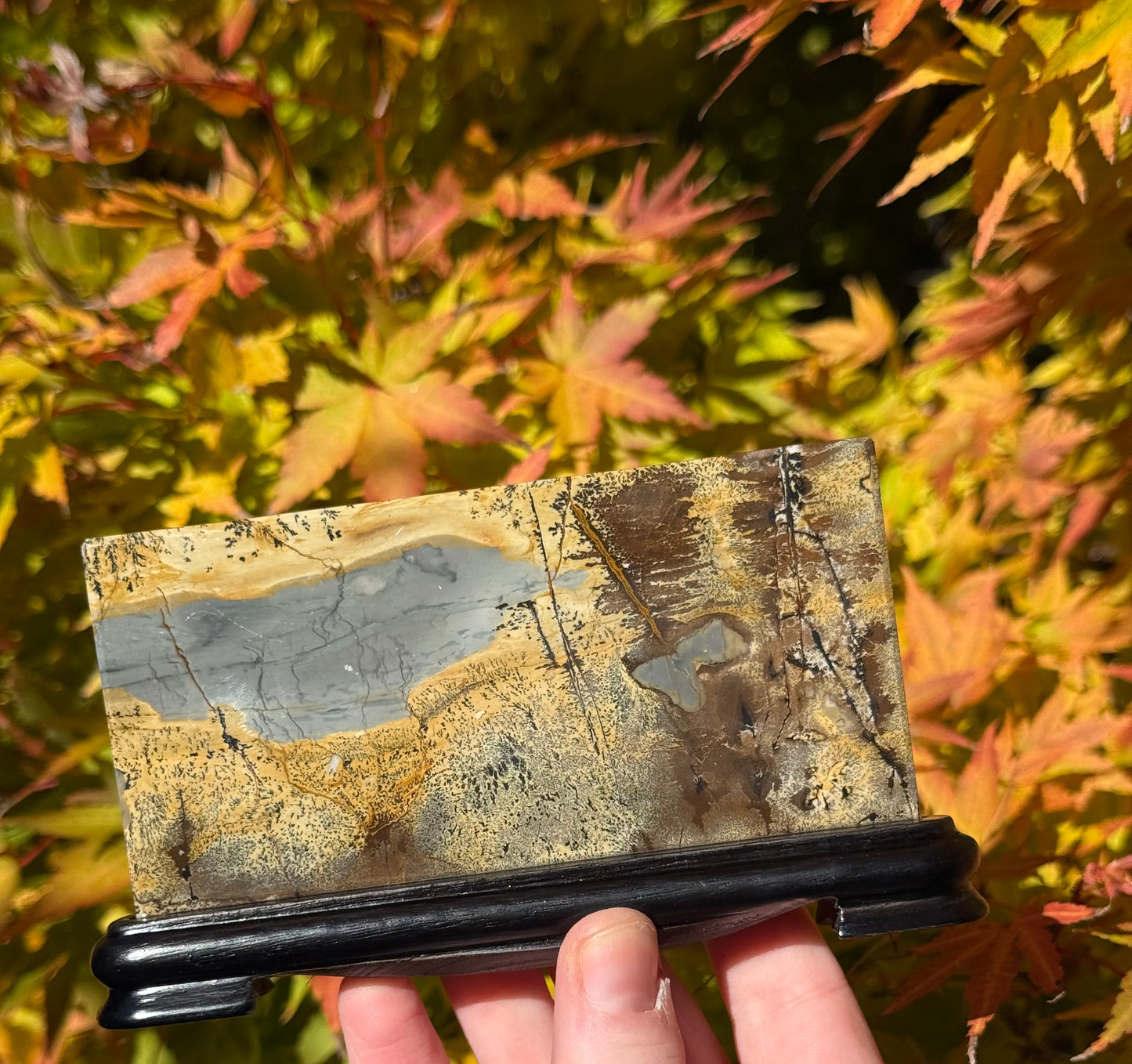 Picture Jasper Slab on Stand #1