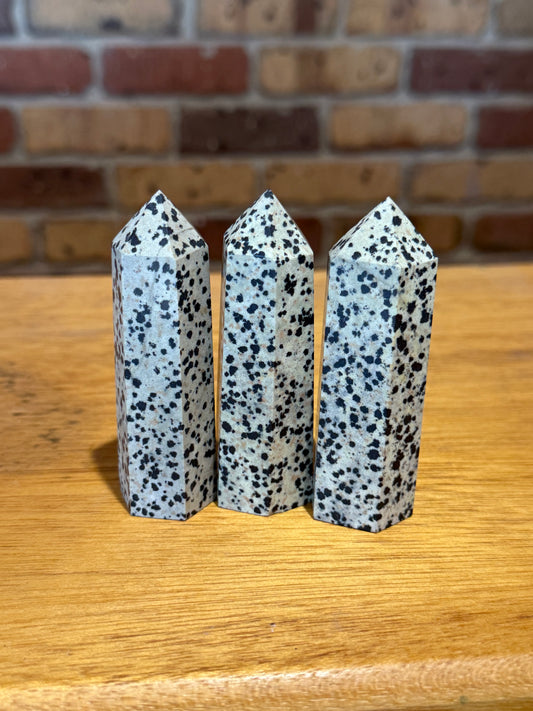 Dalmatian Jasper Points