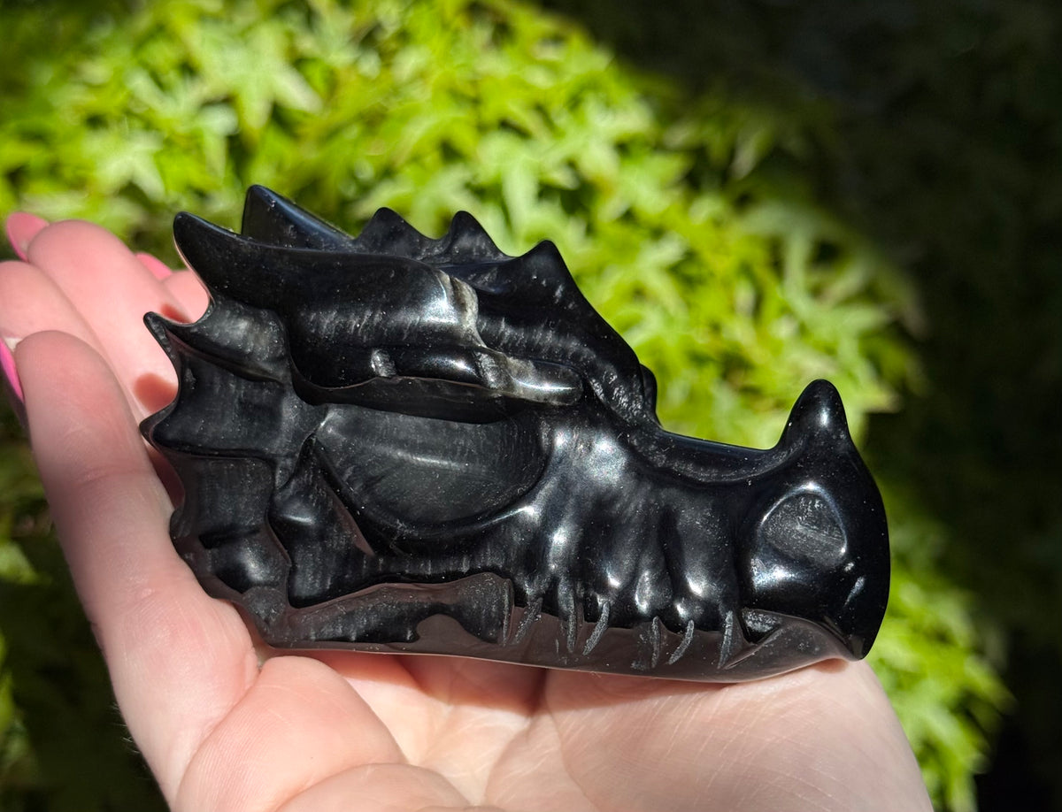 Assorted Dragon Heads