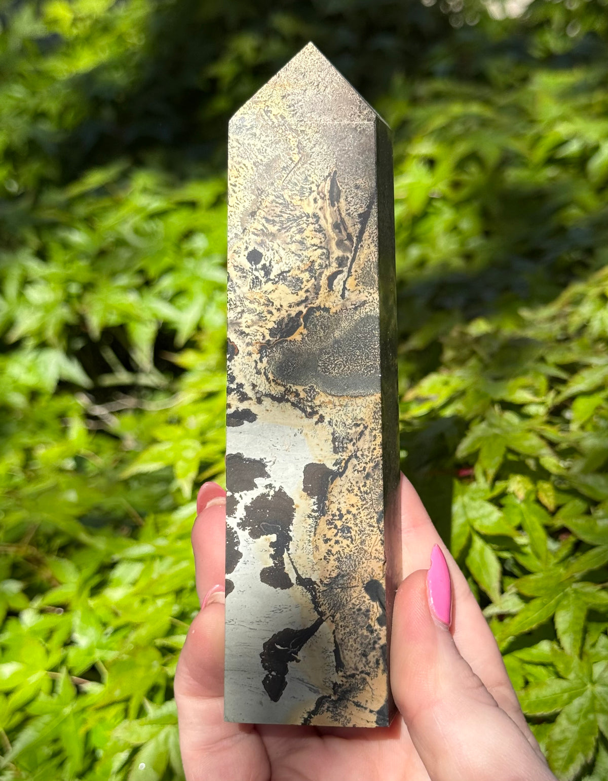 Picture Jasper Towers