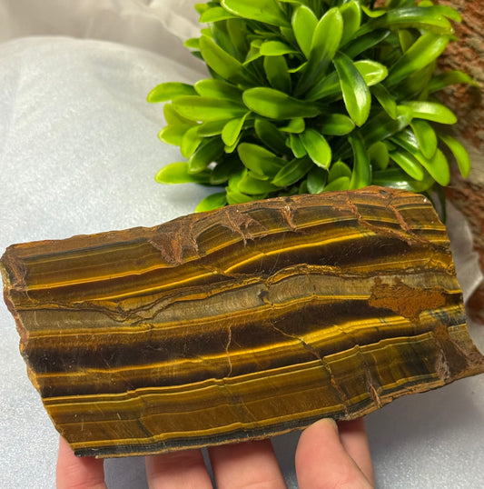 Tigers Eye Slabs