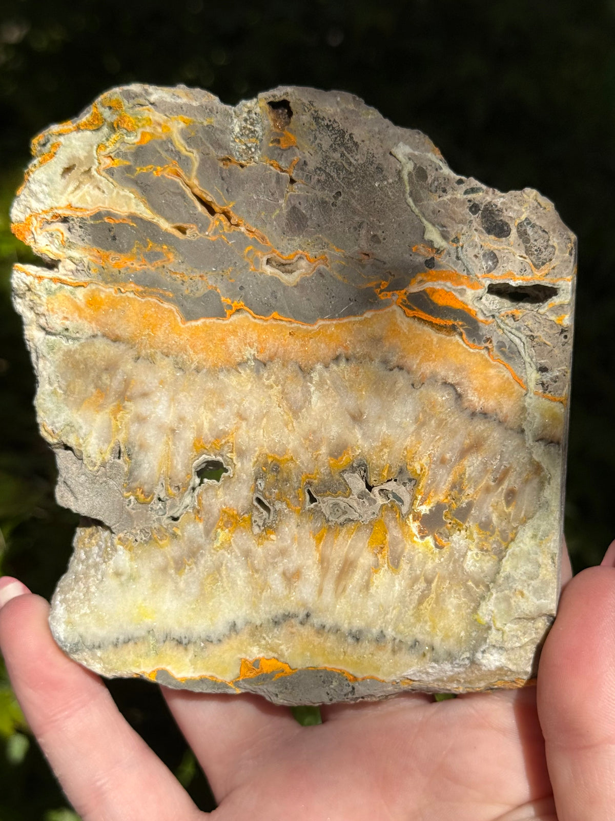 Bumblebee Jasper Slabs