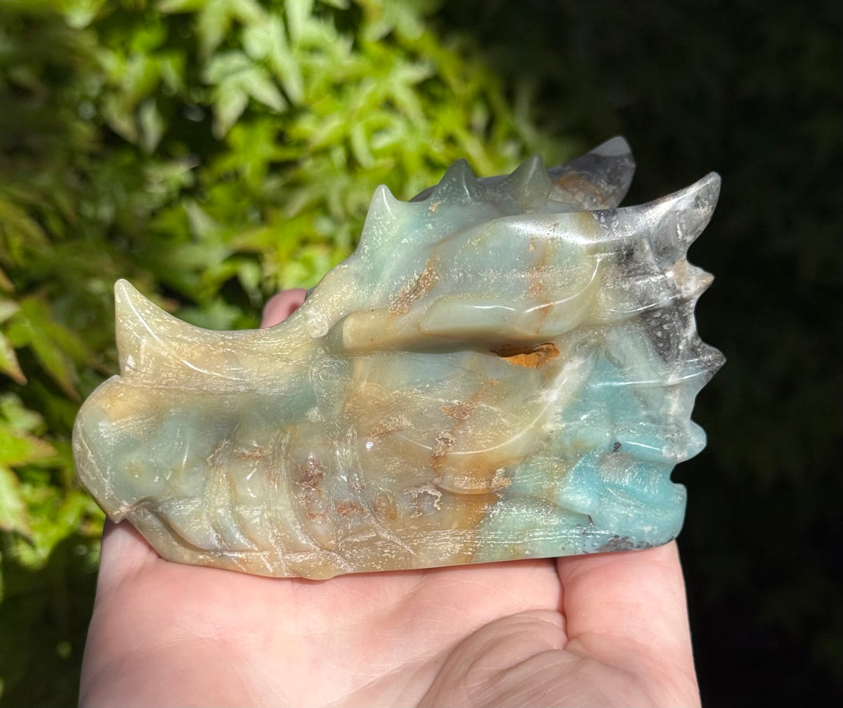 Assorted Dragon Heads