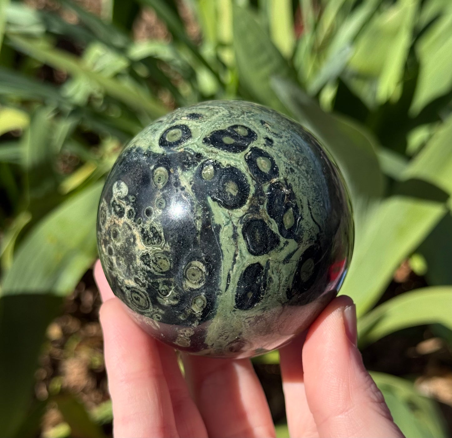Kambaba Spheres