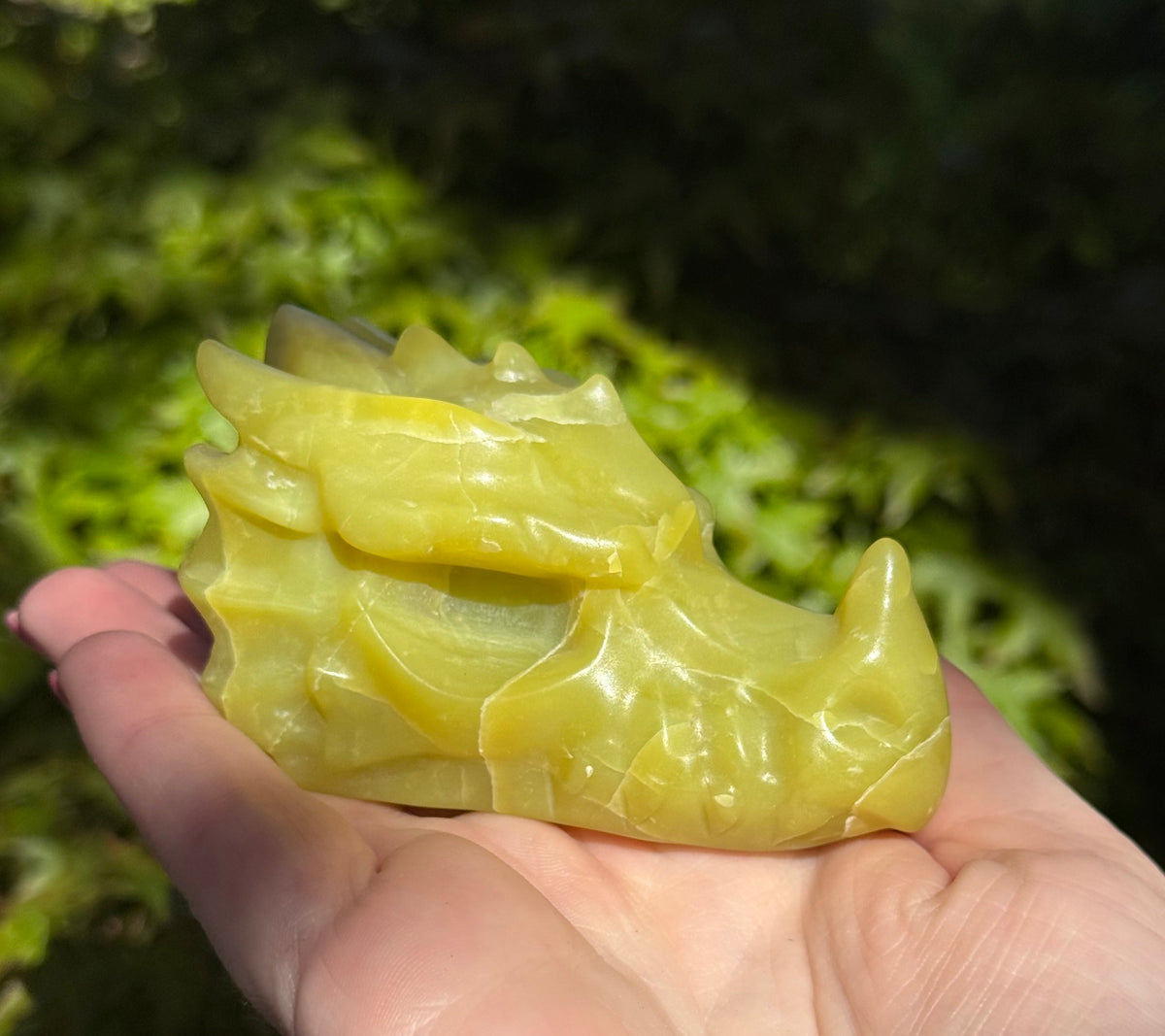 Assorted Dragon Heads
