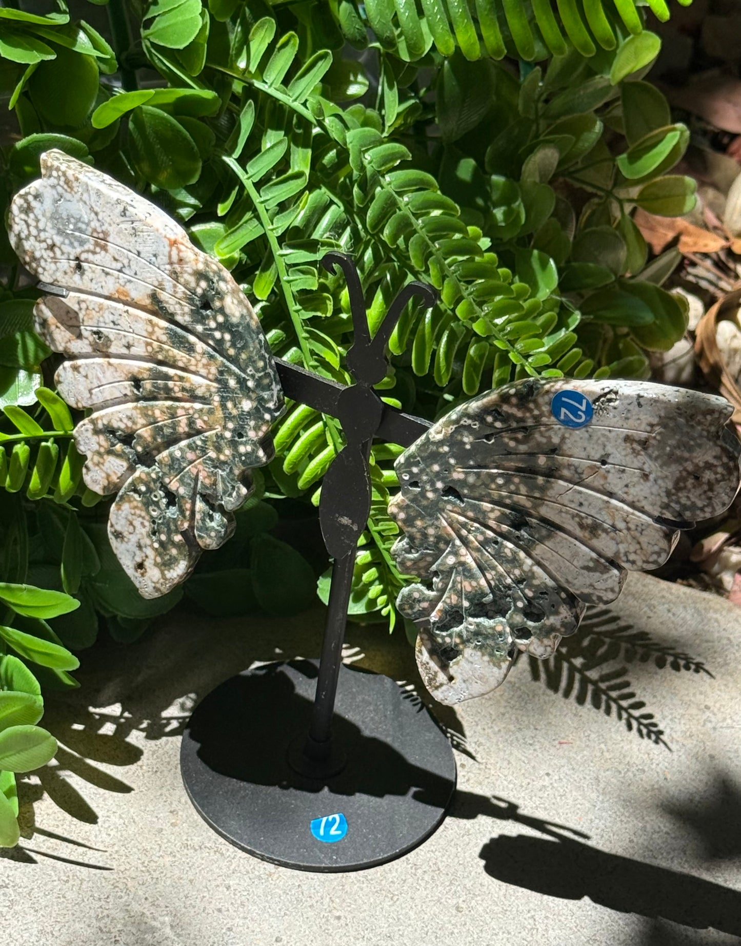 Orbital Ocean Jasper Wings