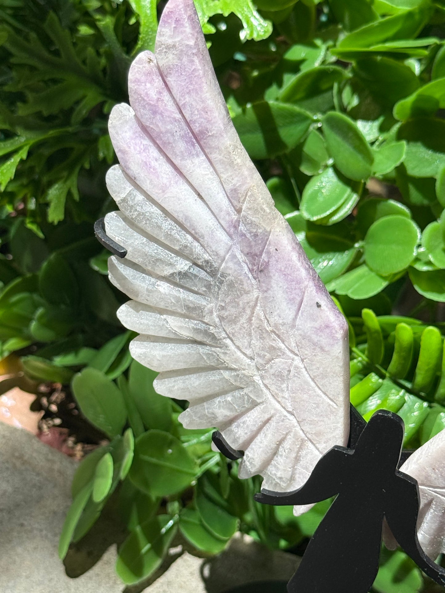 Lepidolite Angel Wings