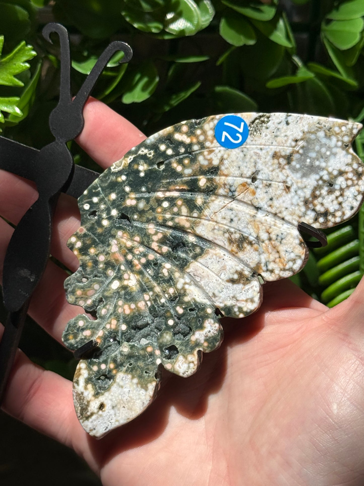 Orbital Ocean Jasper Wings