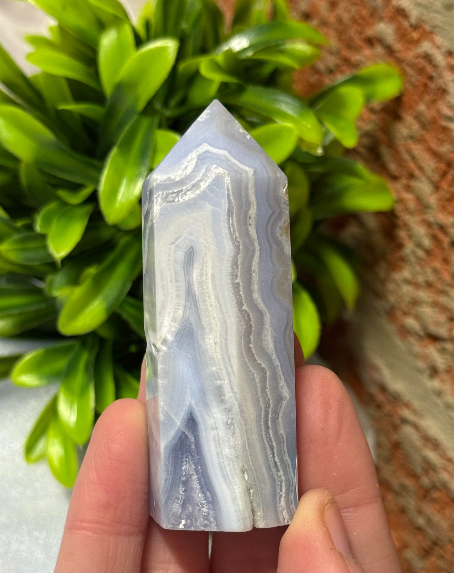 Blue Lace Points