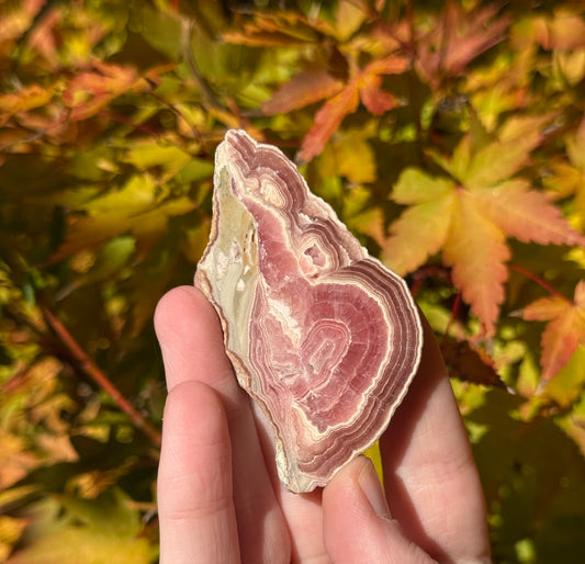 High Grade Rhodochrosite Slab #3