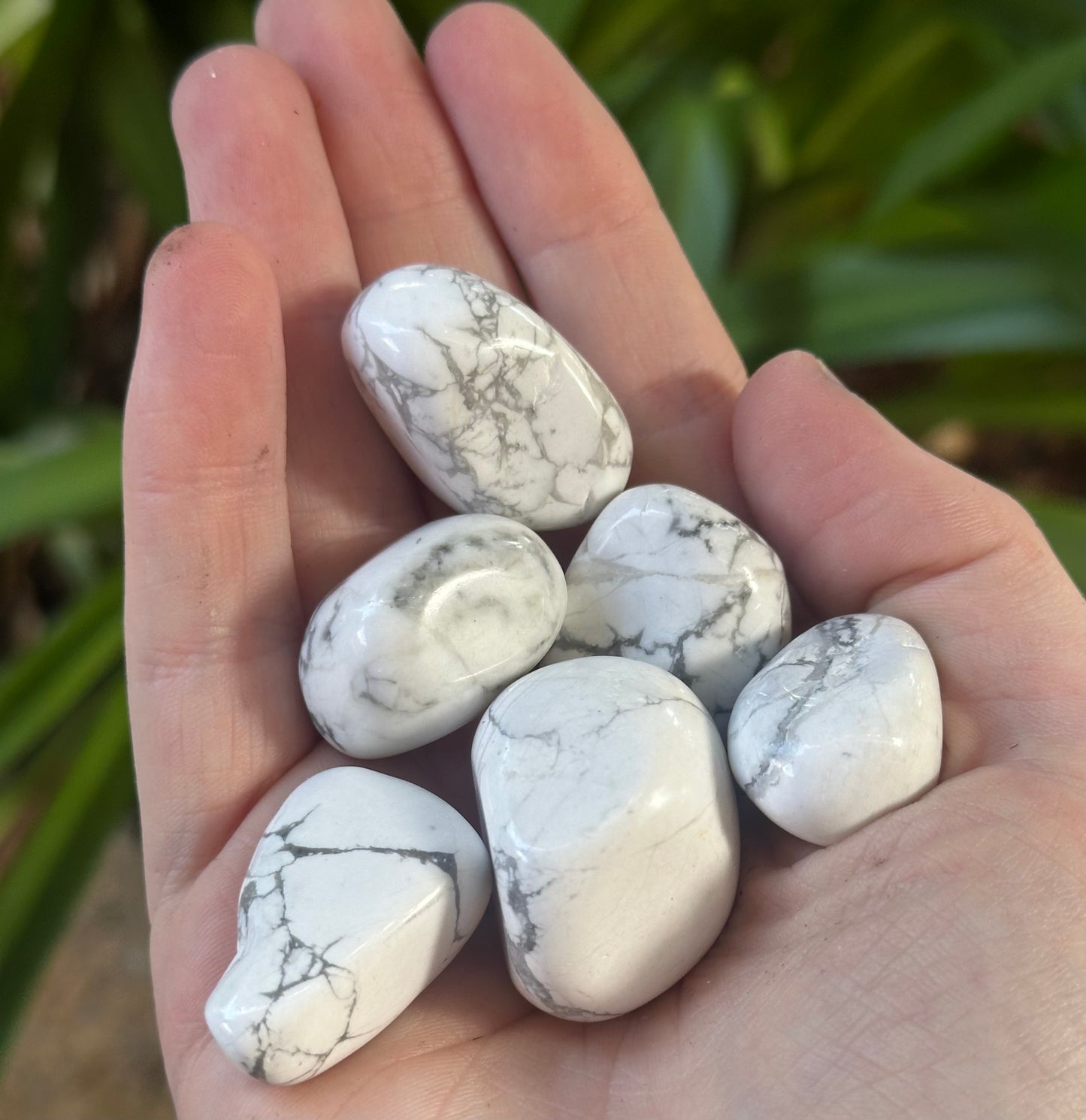 Howlite Tumble