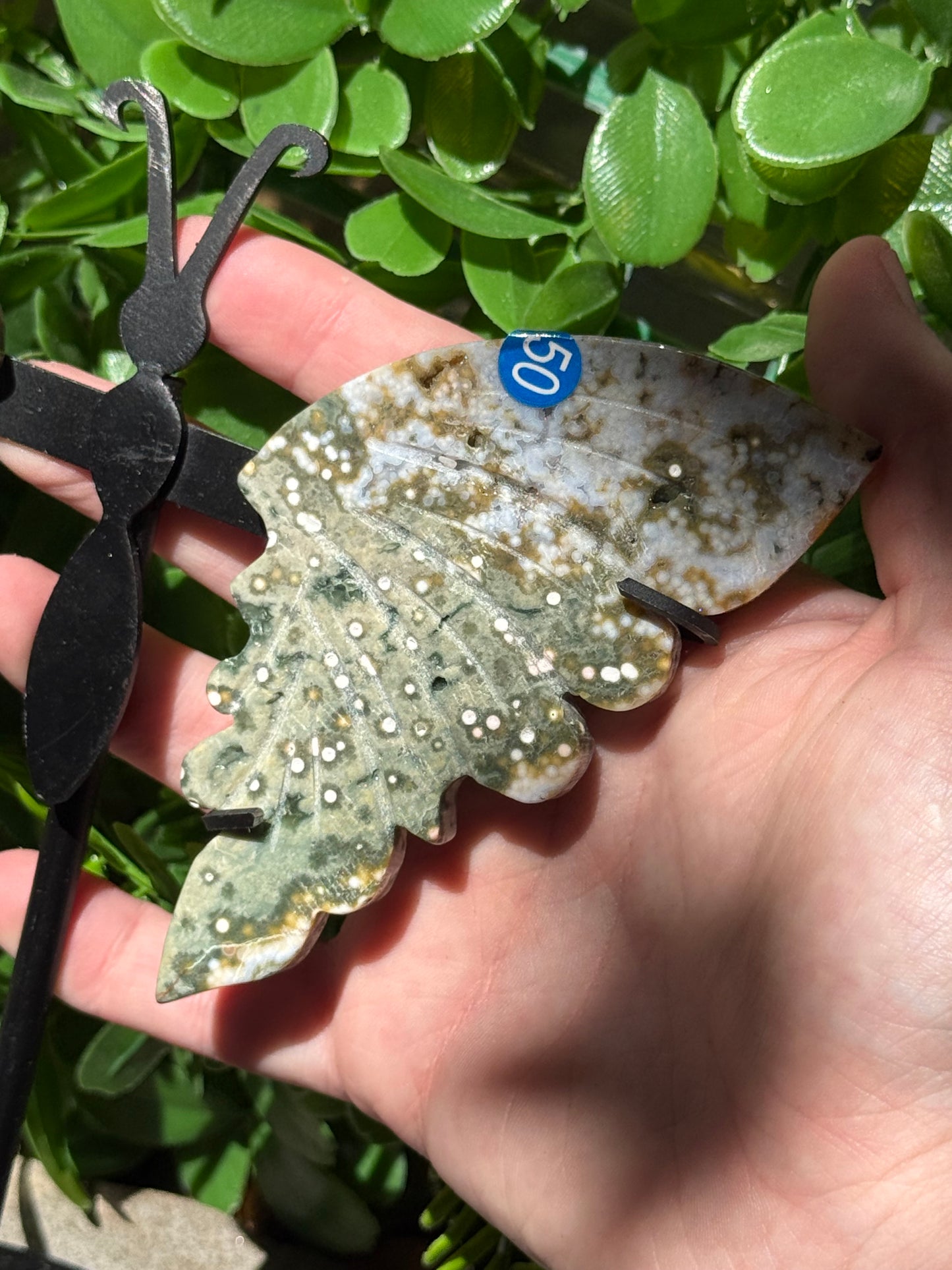 Orbital Ocean Jasper Wings