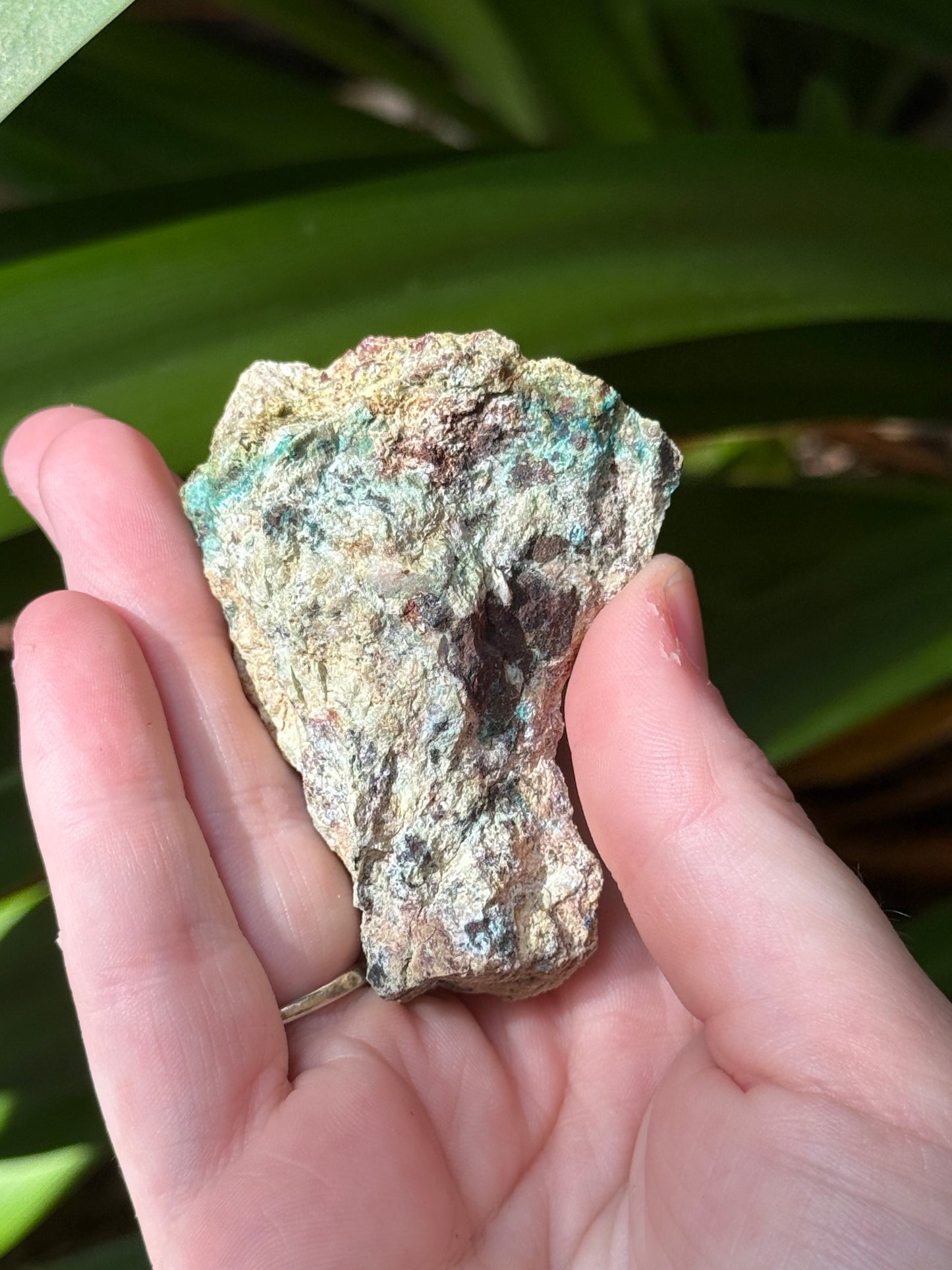 Kinoite Specimen