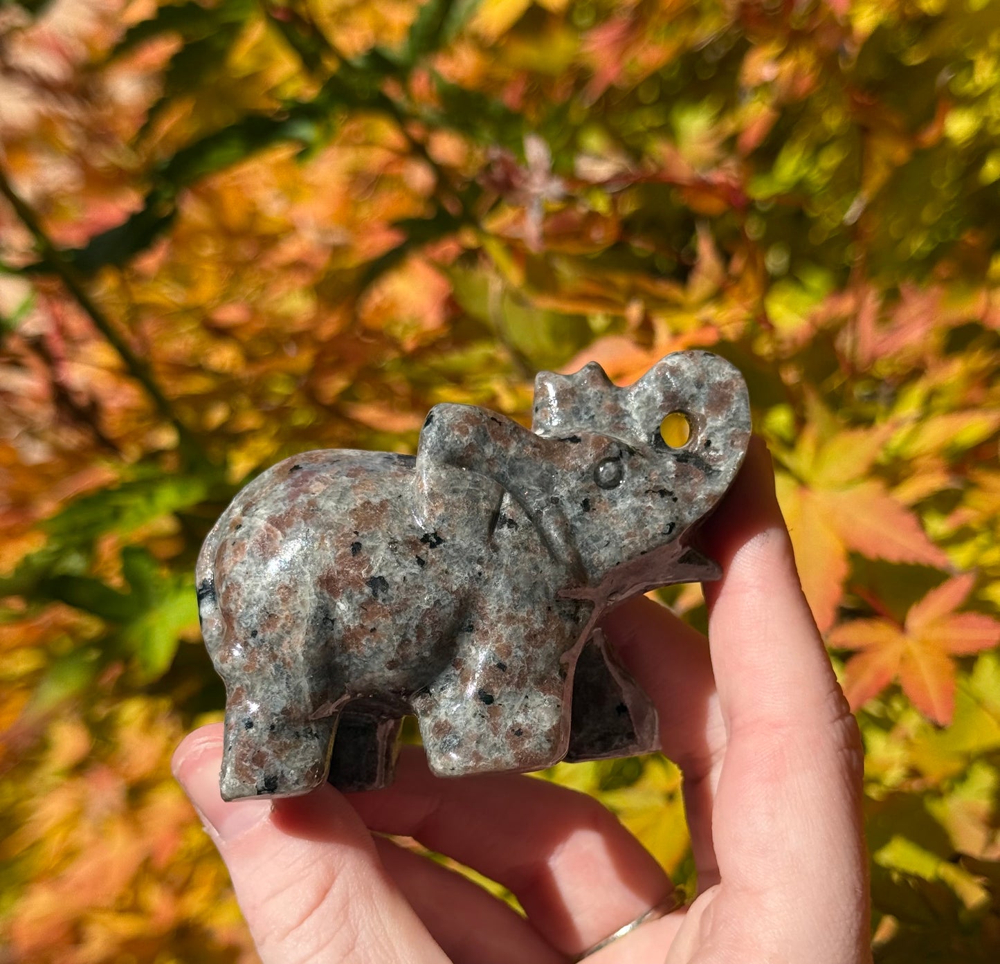 Elephants