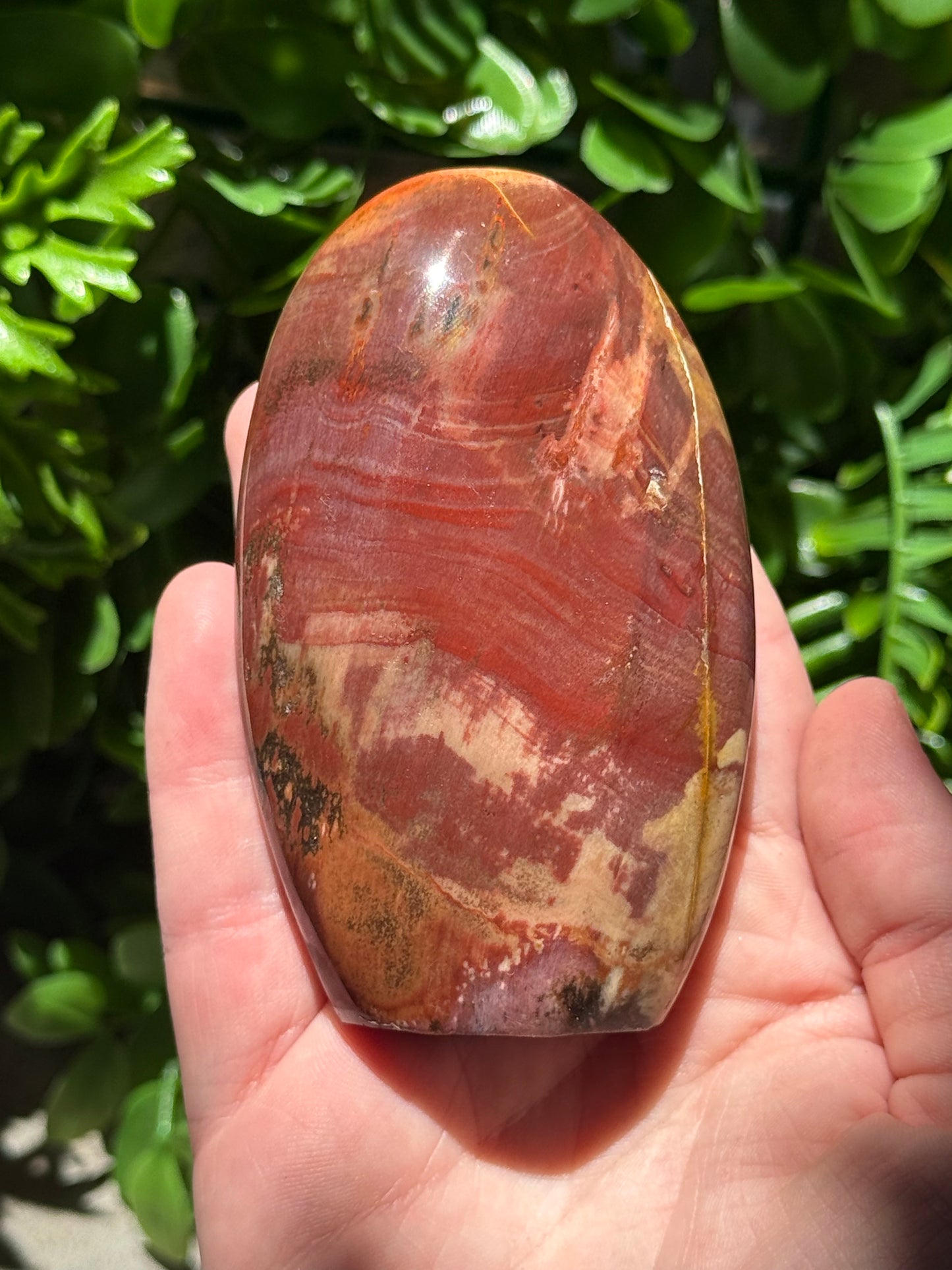 Petrified Wood Standing Freeform’s