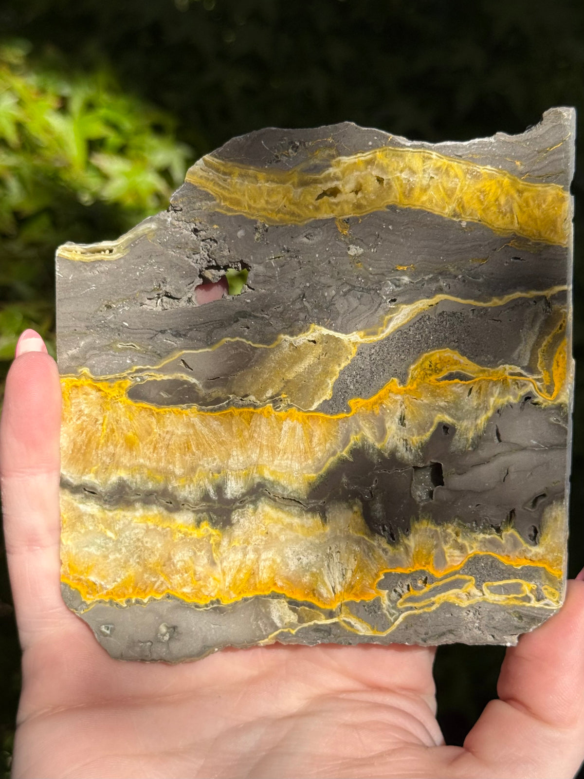 Bumblebee Jasper Slabs