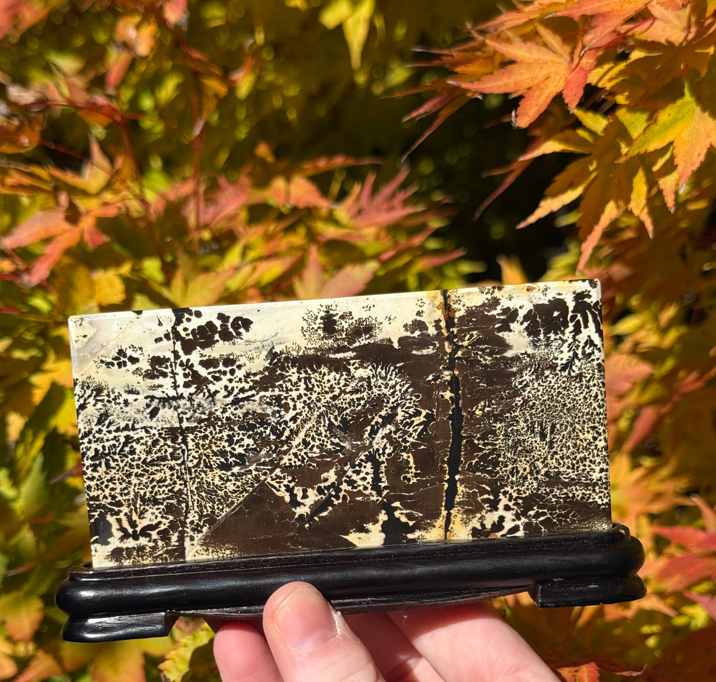 Picture Jasper Slab on Stand #2