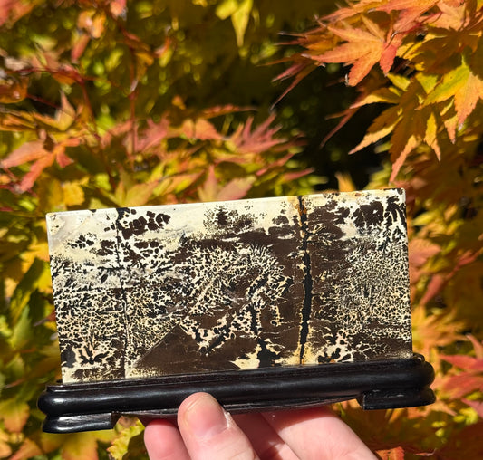 Picture Jasper Slab on Stand #2