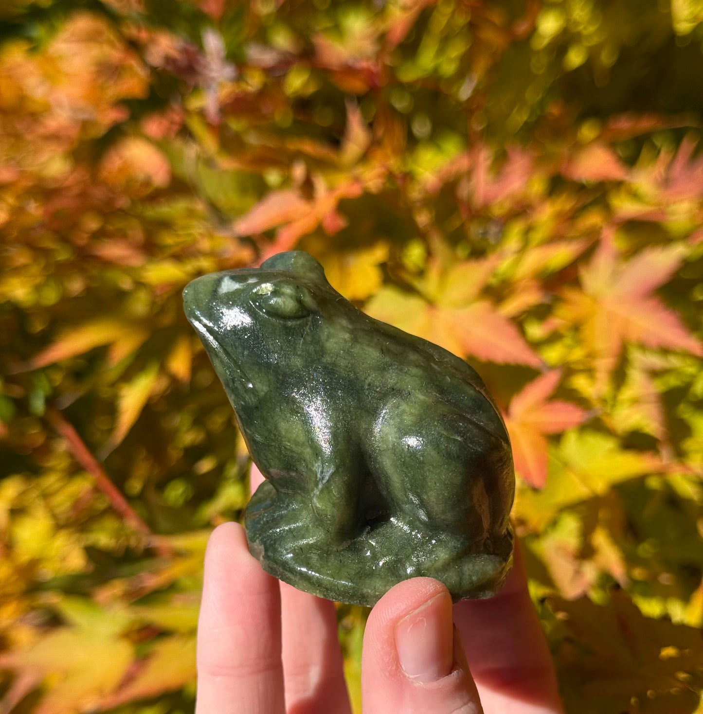 Green Jade Frog