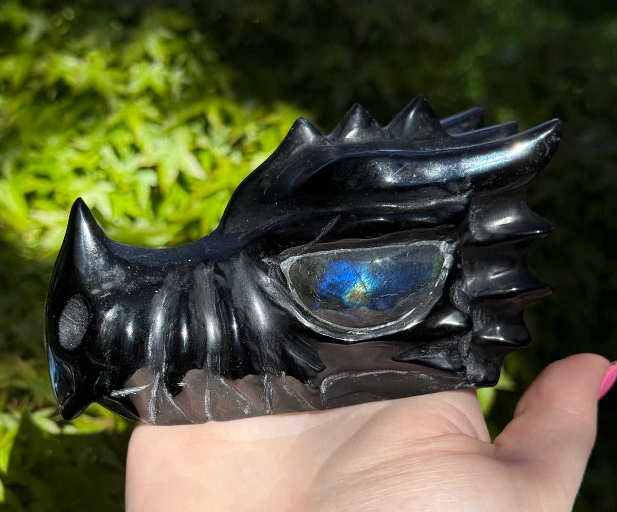 Assorted Dragon Heads
